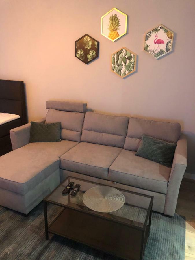 Apartament Flaming Z Balkonem - Scisle Centrum Naprzeciwko Pkp I Pks - Self Check In - Darmowy Parking - Pozne Wymeldowanie - Wystawiamy Fv Opole Exterior photo